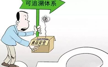怎樣實現蔬菜的來龍去脈，追根溯源