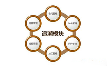 區塊鏈91免费在线视频溯源技術解決方案