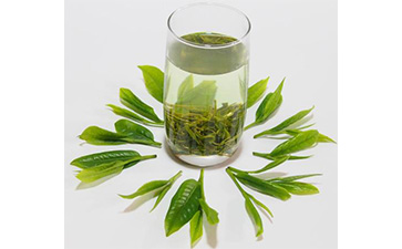 茶葉二維碼91免费在线视频標簽可以帶來哪些優勢價值已經特點？
